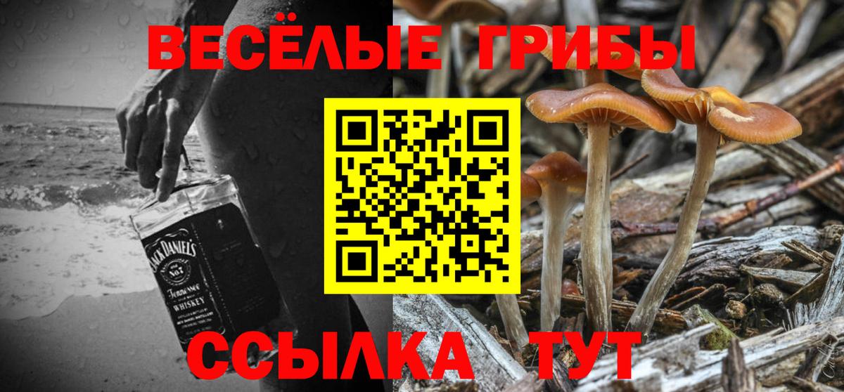 Псилоцибиновые грибы прущие грибы  Псилоцибиновые грибы Cubensis  Вход с VPN  Партизанск 